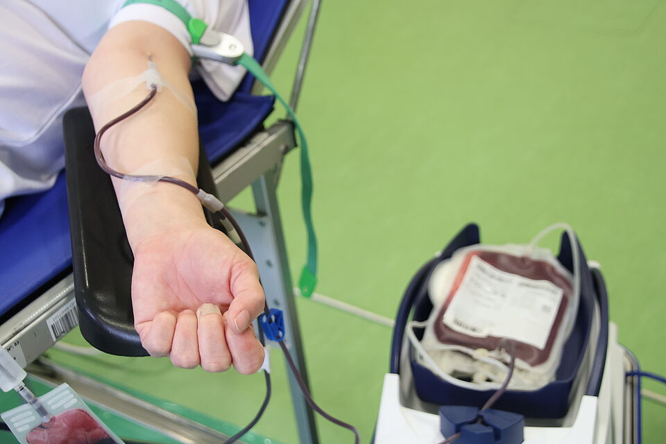 Ein Arm während der Blutspende, mit angeschlossenem Schlauch, durch den das gespendete Blut in den Beutel fließt.
